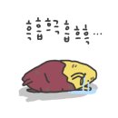 클로버포케 이미지