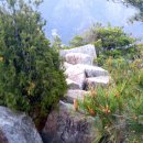 이칠약수터 | 화왕산 환종주 - 1 (북암교~구룡산까지)