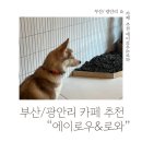로와로운 이미지
