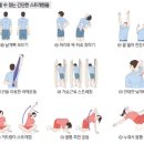 아트필라테스 - 강남구 도산대로 413 | 아트필라테스