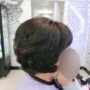 준호프로헤어 이미지