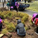 월영연못공원 이미지