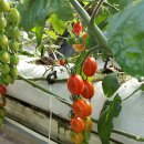 이경용농장 이미지