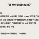 선화음악학원 이미지