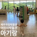 우영팟 | 제주 실내 가볼만한곳 국립제주박물관 어린이박물관 아기랑 방문 후기