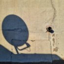 침산남로 이미지