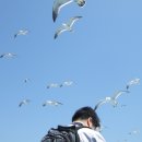 죽도(대섬)