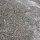 양씨삼강문 | 먹으러 간 대전여행 후기(농민 뜨근이 토요일 웨이팅, 성심당, 명상정원, 상소동 산림욕장)