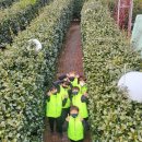 인천부평초등학교 이미지