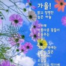 지푸라기 이미지