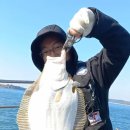 광어랑우럭이랑 이미지