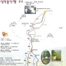 울릉도 성인봉 트레킹&육로관광 이미지