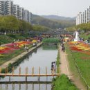 안산천 Daum카페