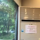 봄솔보리밥