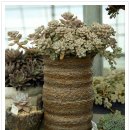 오수리농장 이미지