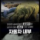 수영구출장세차
