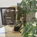 빌라 드 웨이브 | 제주미용실 레이어드펌 잘하는 곳 살롱드청춘