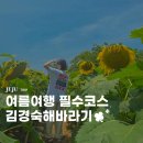 서씨농장 | 제주 &lt;김경숙 해바라기 농장&gt; 방문하기~