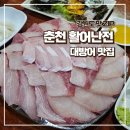 난전매운탕 | [춘천 맛집] 활어난전 대방어 세트 솔직 후기 대방어 철 꼭 가볼 곳