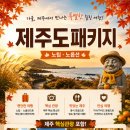 시즌제주