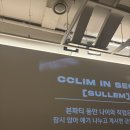 개끌림 | [합정] 솔로파티 "끌림" 솔직후기, ㅈㄴ솔직함
