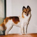 서초1동010 이미지