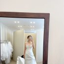 청초 | 대구 아브아청초 본식드레스 피팅 후기｜청초한 실크라인에 반하다