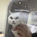 명덕동물병원 이미지