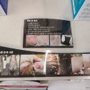 율하 위드동물병원 이미지