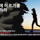 개신교적 경건 이해에 대한 연구 이미지