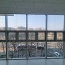 아이비피아 이미지