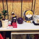 뽕노래연습장 이미지