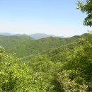 유천리 삼거리 이미지