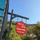 제니앤콩티 이미지
