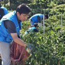 성녀루이제의집 이미지