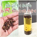 주)동양마트 중화점 | 화조유 화자오기름 만들기 중화요리 오일로 활용