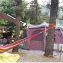 솔밭체육공원 오토캠핑장 이미지