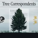 현대자동차 앞 이미지