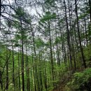 한방생태숲 이미지