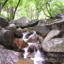 7월 10일 (수) 나무와 물과 바위의 삼위일체 심산유곡 - 천안,아산의 여름명소... 강당골 계곡 피서 도보 이미지
