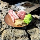 두텁돼지 이미지