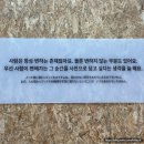 (사)공감사랑나눔회 | [가을겨울 전시추천] 카와시마 코토리 - 사란란ㅣ석파정 서울미술관 (귀여운 미라이짱)