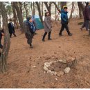 보고유치원 이미지