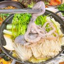 힘찬낙지 이미지