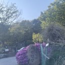 이가네 밥상 | [남양주] 이가네 자연밥상 오리주물럭 후기