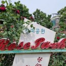 11호어린이공원 이미지