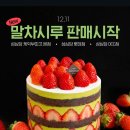 성심당 케익부띠끄 말차시루 후기 가격 맛 출시일