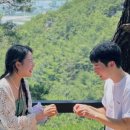 숲의하루 이미지