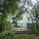 평창자연휴양림 이미지