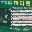 마리엔스 Daum카페